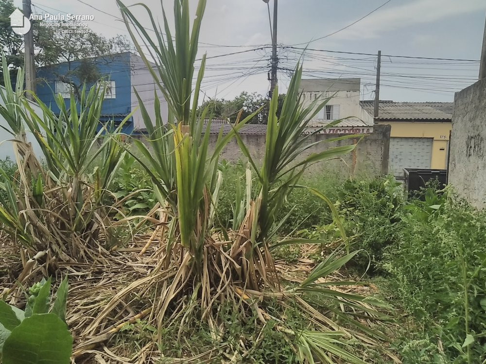 Terreno/Lote  venda  no Vila Baro - Sorocaba, SP. Imveis